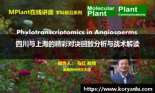 四川与上海的精彩对决回放分析与战术解读