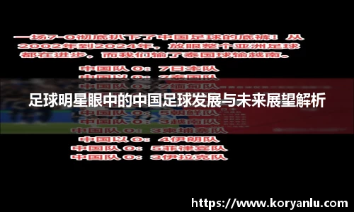 足球明星眼中的中国足球发展与未来展望解析